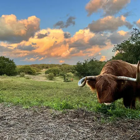 木屋 Vrijstaand Met Veel Buitenruimte En Veranda