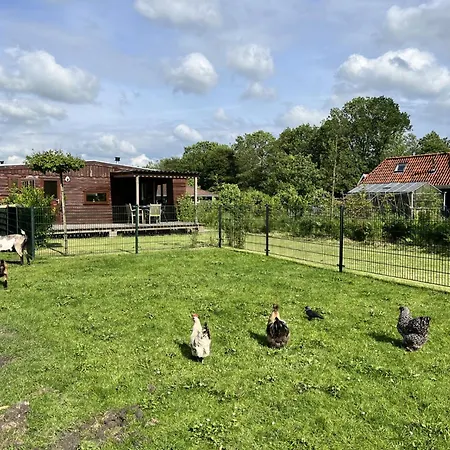 木屋 Vrijstaand Met Veel Buitenruimte En Veranda