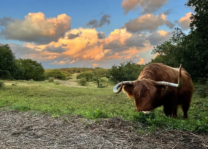 Chalet Vrijstaand Met Veel Buitenruimte En Veranda